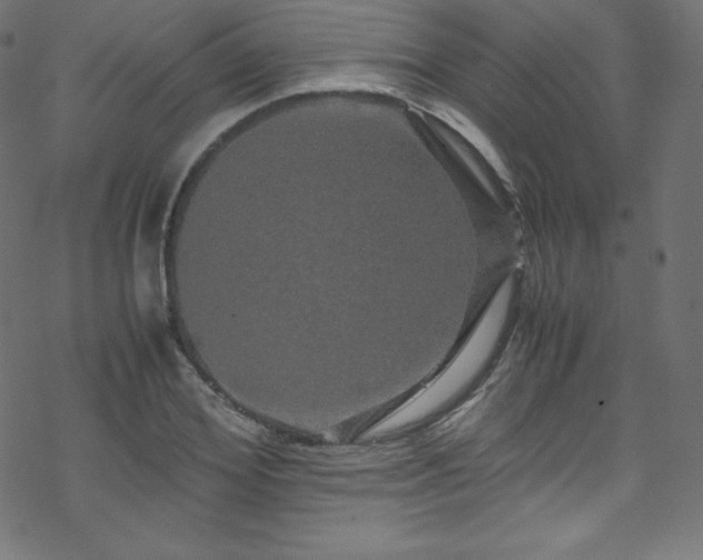 X0000070230980200605301451