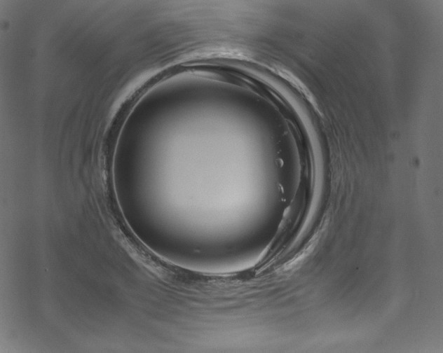 X0000070230981200605301451