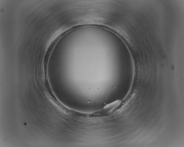 X0000070230982200605301451