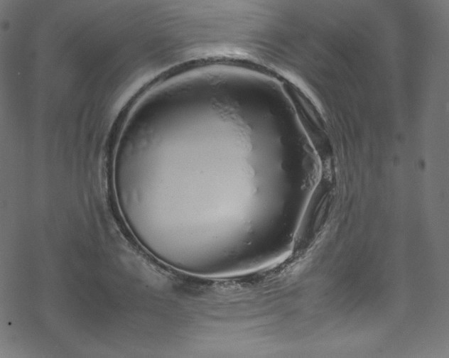 X0000070230983200605301451