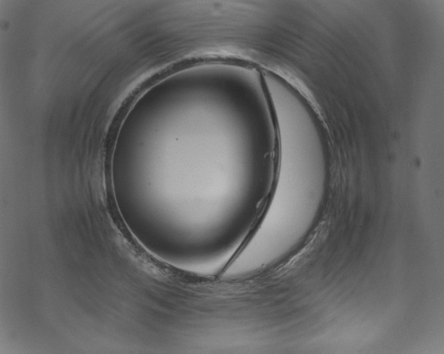 X0000070230984200605301451