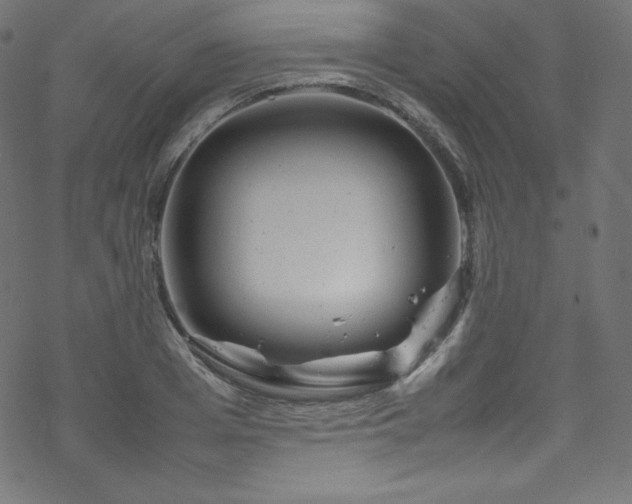 X0000070230985200605301451