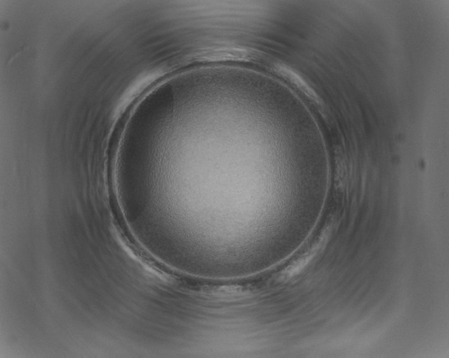 X0000070230986200605301451