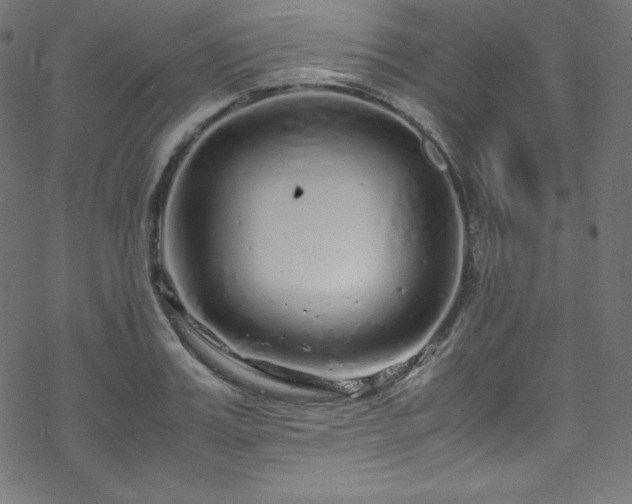 X0000070230987200605301451