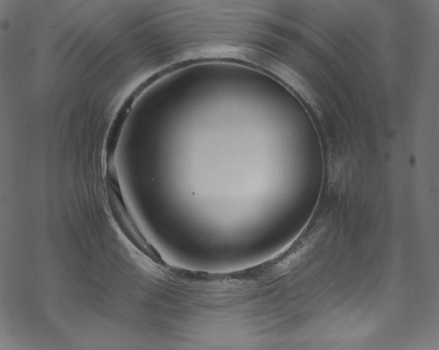 X0000070230988200605301451