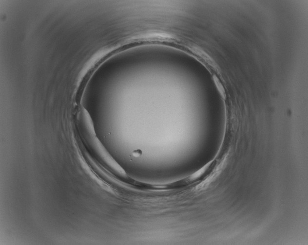 X0000070230989200605301451