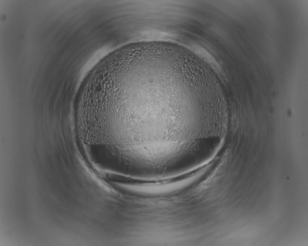 X0000070230990200605301451