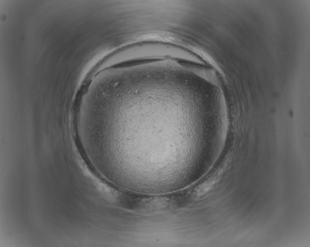 X0000070230991200605301451