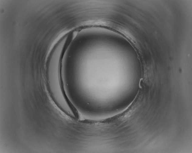 X0000070230992200605301451