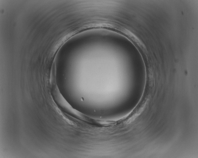 X0000070230993200605301451