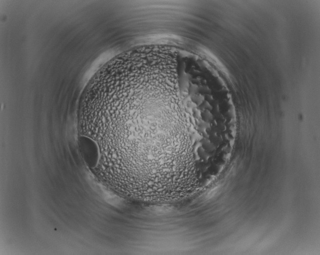 X0000070230994200605301451