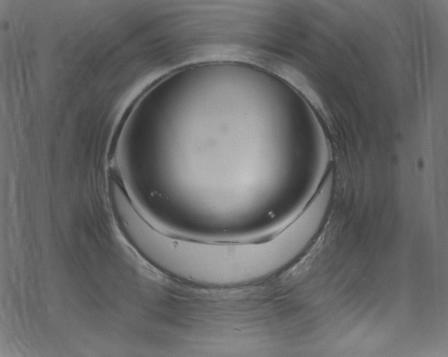 X0000070230996200605301451