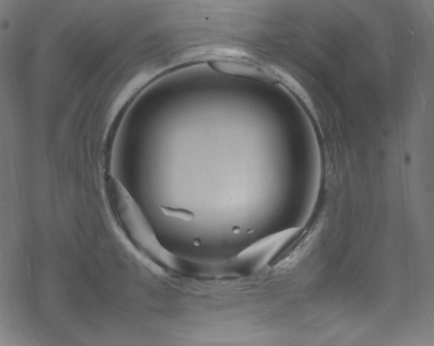 X0000070230997200605301451