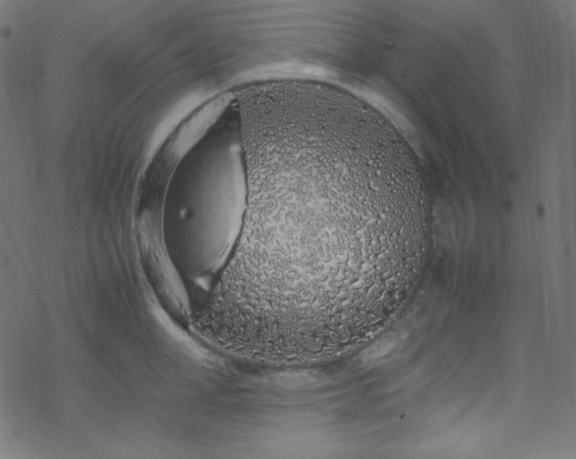 X0000070230998200605301451