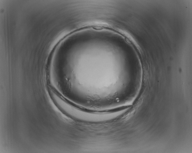 X0000070230999200605301451