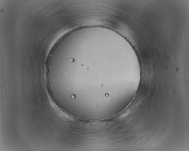 X0000070231000200605301451