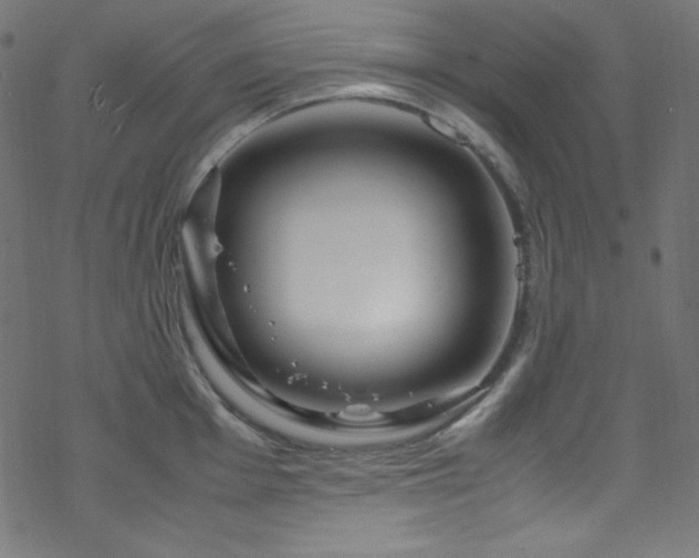 X0000070231001200605301451