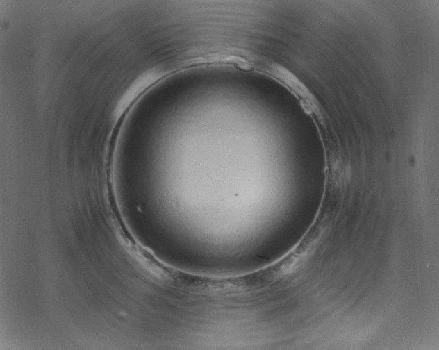 X0000070231002200605301451