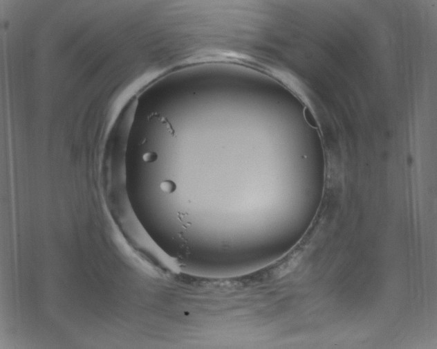 X0000070231003200605301451