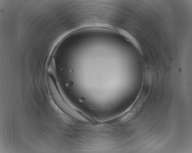 X0000070231004200605301451