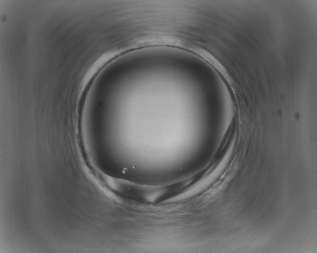 X0000070231005200605301451