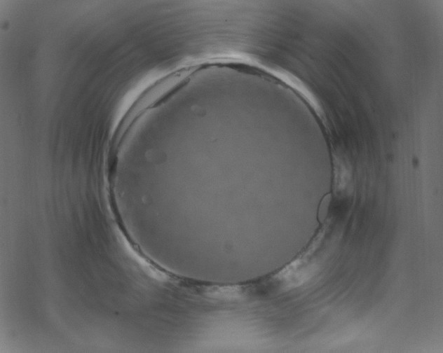 X0000070231006200605301451