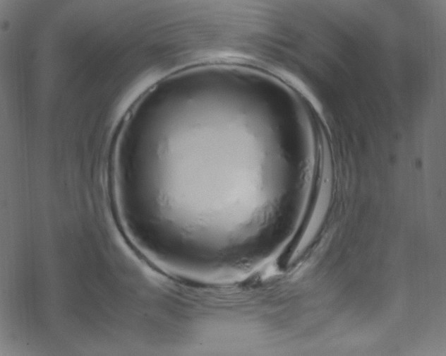 X0000070231007200605301451