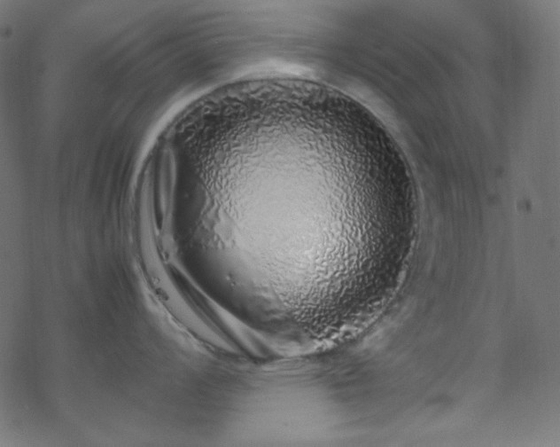 X0000070231008200605301451