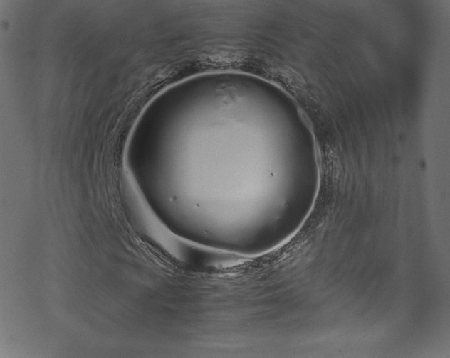 X0000070231009200605301450