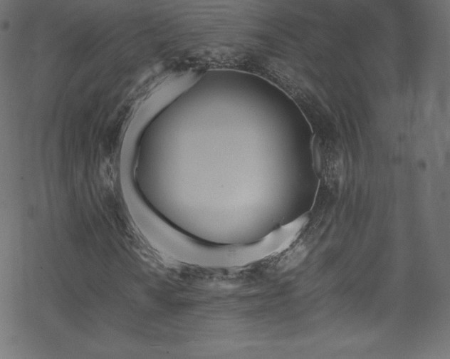 X0000070231010200605301450