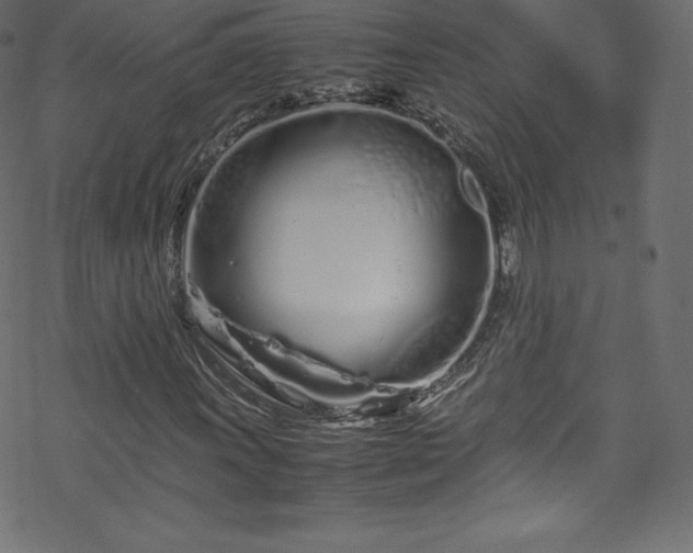 X0000070231011200605301450