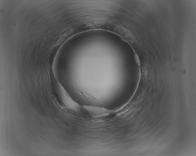 X0000070231012200605301450