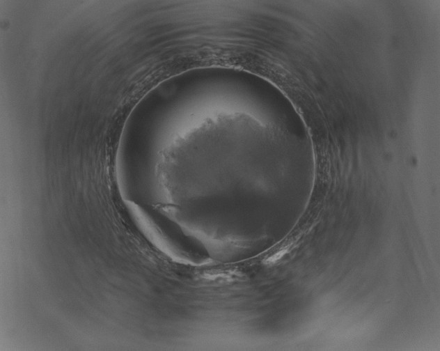 X0000070231013200605301450