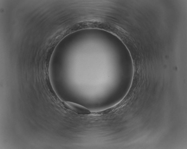 X0000070231014200605301450