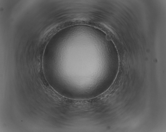 X0000070231015200605301450