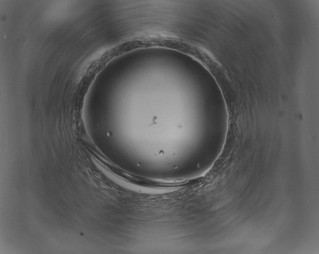 X0000070231016200605301450