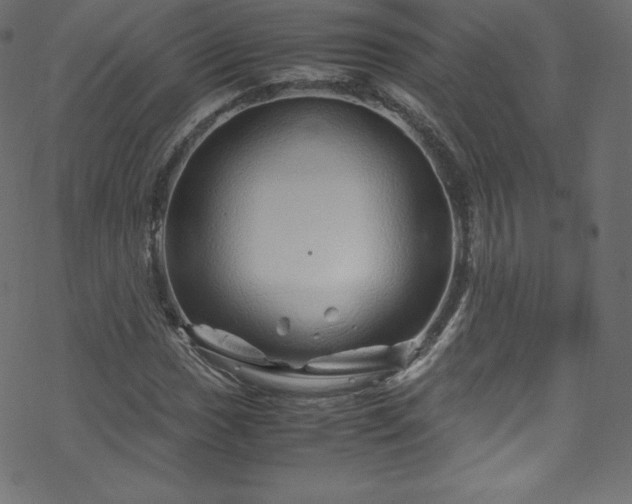 X0000070231017200605301450