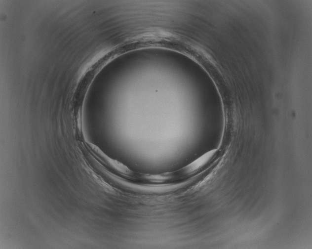 X0000070231018200605301450