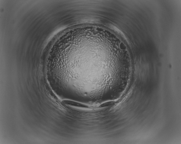 X0000070231019200605301450