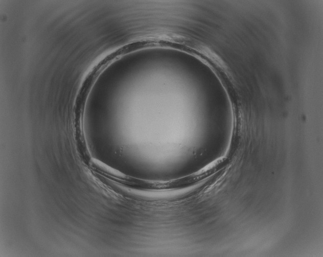 X0000070231020200605301450