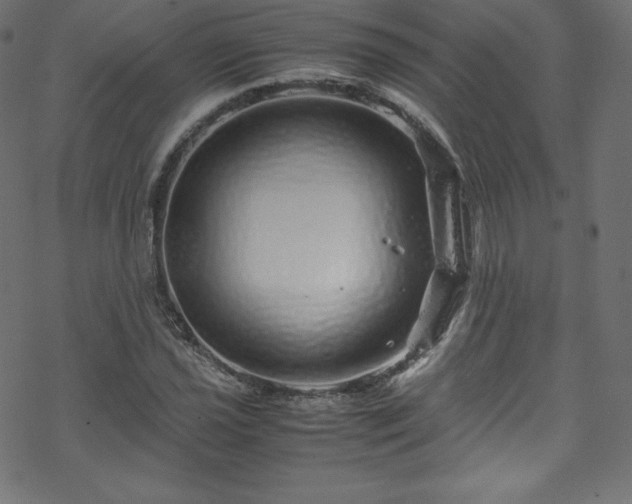 X0000070231021200605301450