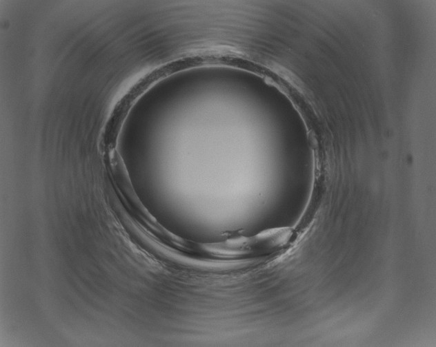 X0000070231022200605301450