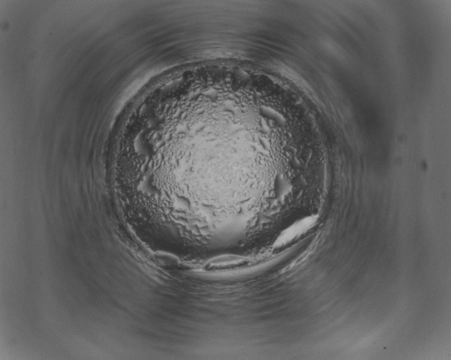 X0000070231023200605301450