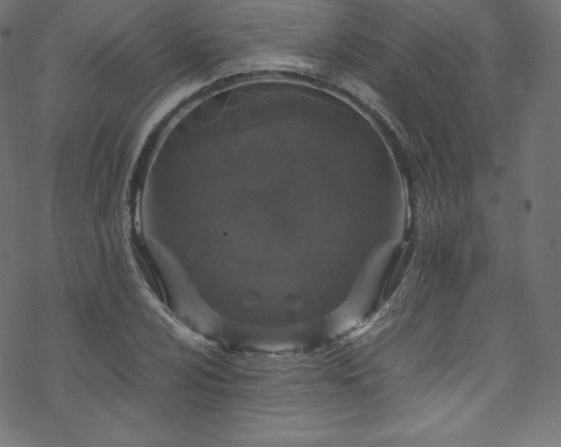 X0000070231024200605301450