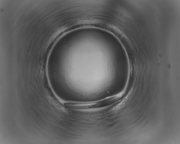 X0000070231025200605301450