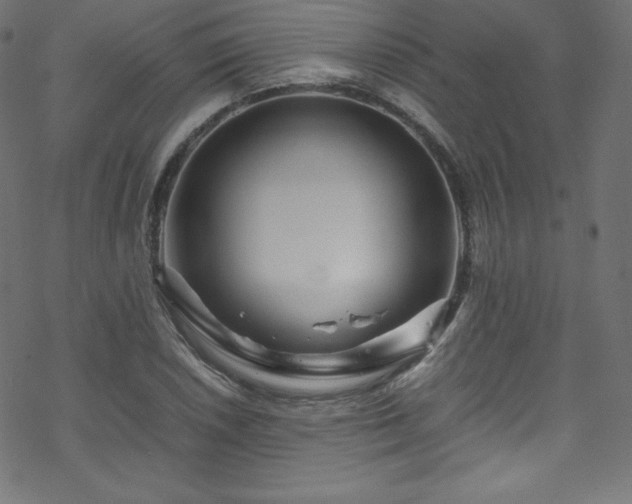 X0000070231026200605301450