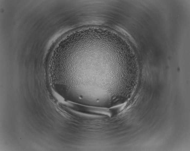 X0000070231027200605301450