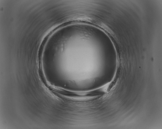 X0000070231028200605301450