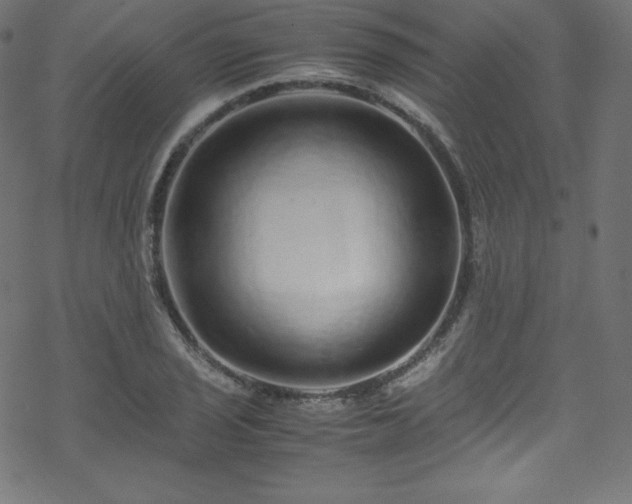 X0000070231029200605301450