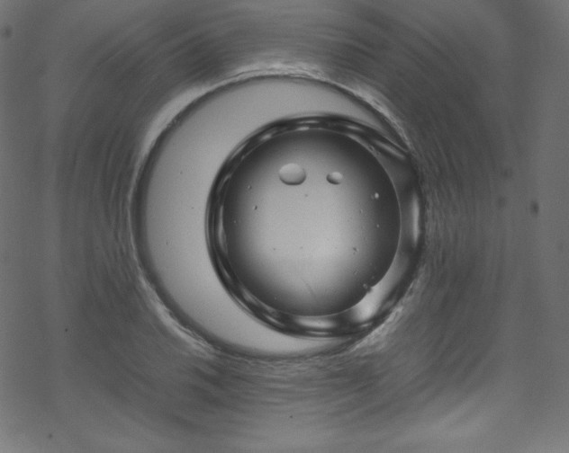 X0000070231030200605301450